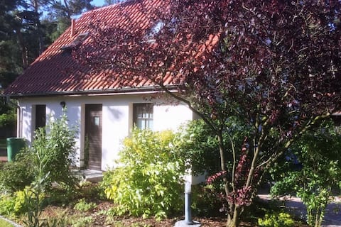 Top performing Airbnb: Vacation home in Dierhagen-Strand - up to 4 people in Dierhagen