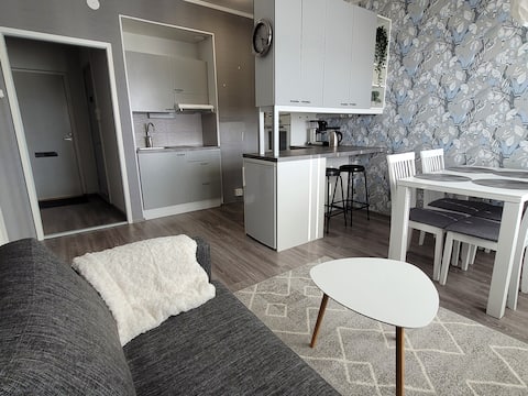 Top performing Airbnb: Cozy two-room apartment near the city center in Harju