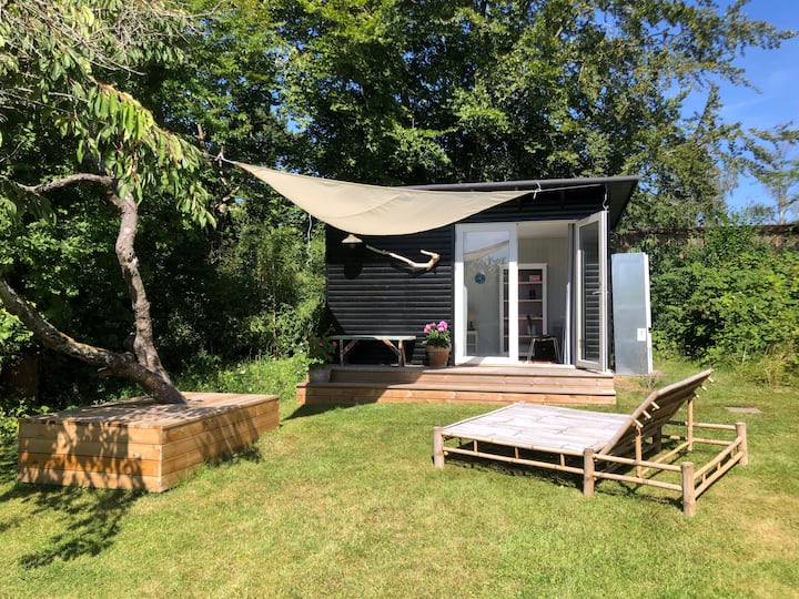 Habitación 1