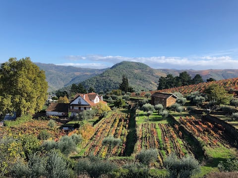 Quinta Vila Rachel - Winery - Estio House