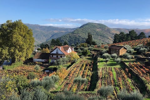 Quinta Vila Rachel - Winery - Flora House