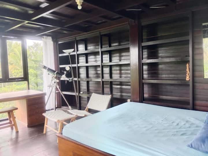 Habitación 1