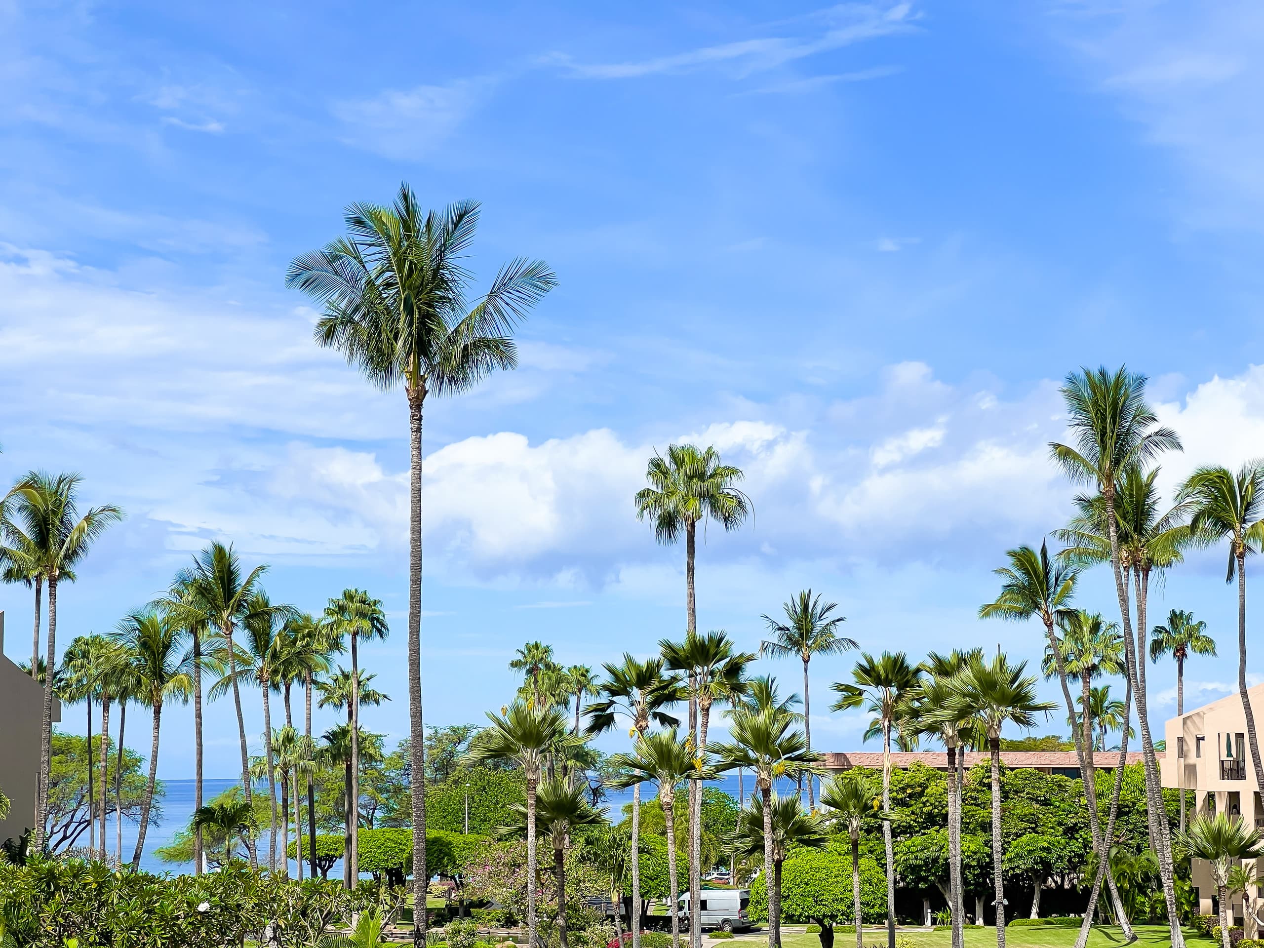 Condo in Kihei · ★4.92 · 1 bedroom · 3 beds · 2 baths - Image 32
