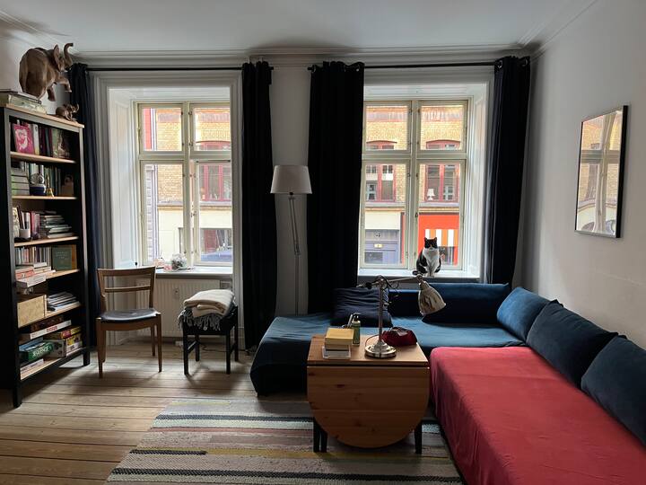 Cozy flat in the center of Copenhagen Apartments for Rent in Copenhagen, Denmark Airbnb
