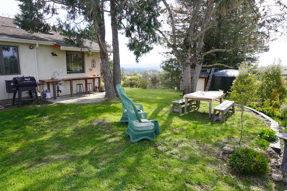 A spacious outdoor area features a grassy lawn with a picnic table and two bright green chairs. A barbecue grill is positioned nearby, with distant views of the Petaluma Valley visible in the background. Tall trees provide shade and greenery.