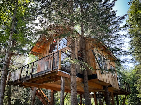 Kiwi's Nest
one man one dream