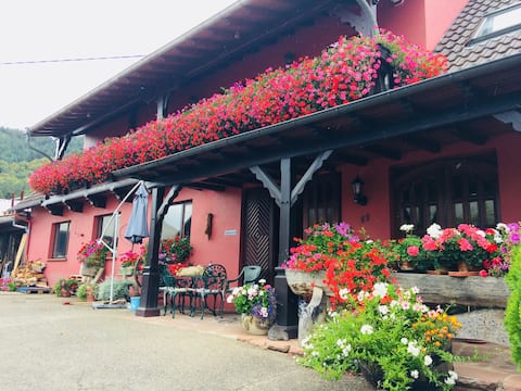 Cozy and well located apartment.