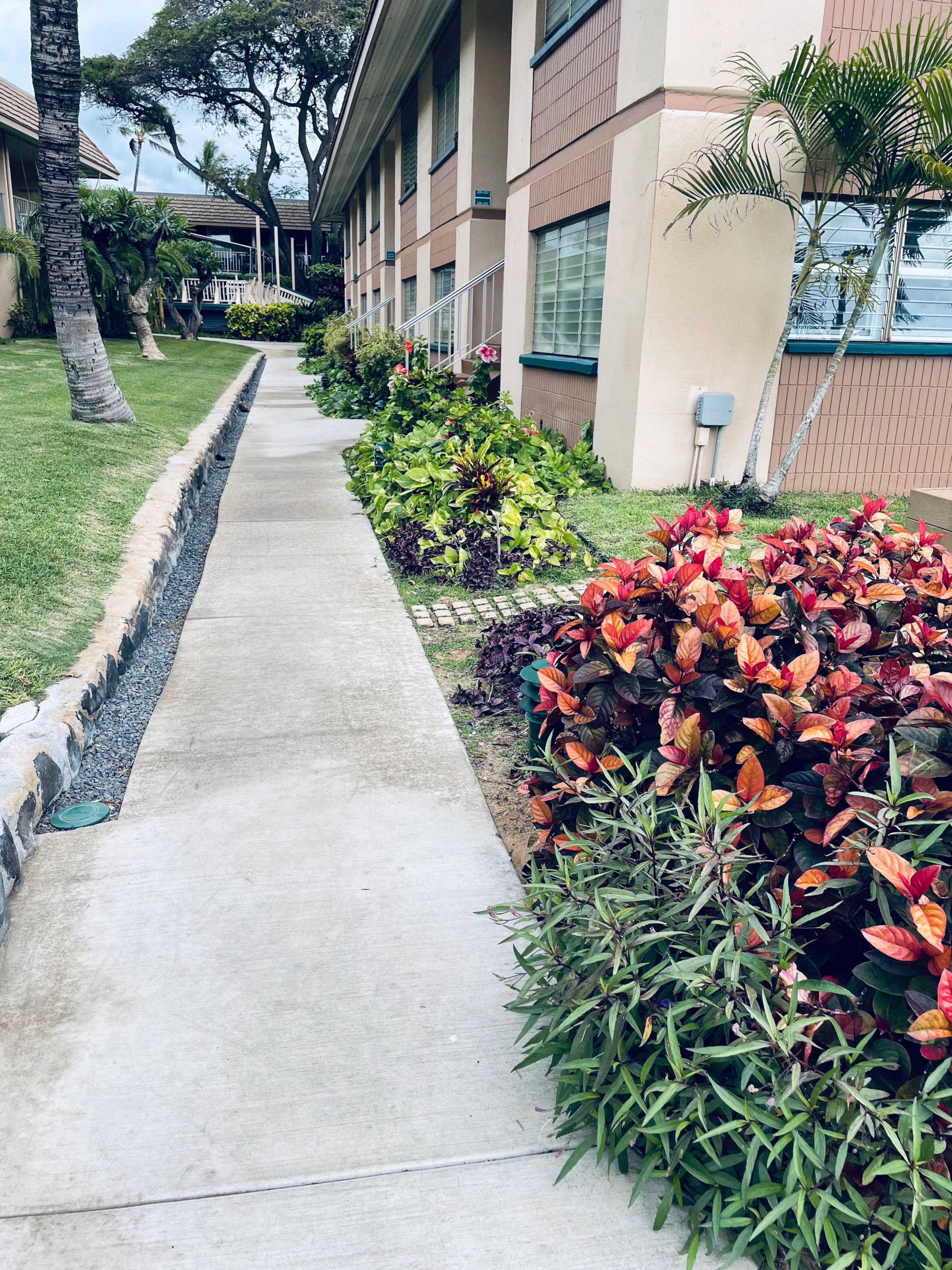 Next to Beach, Foods & Shops - Updated w/ View! - Image 31