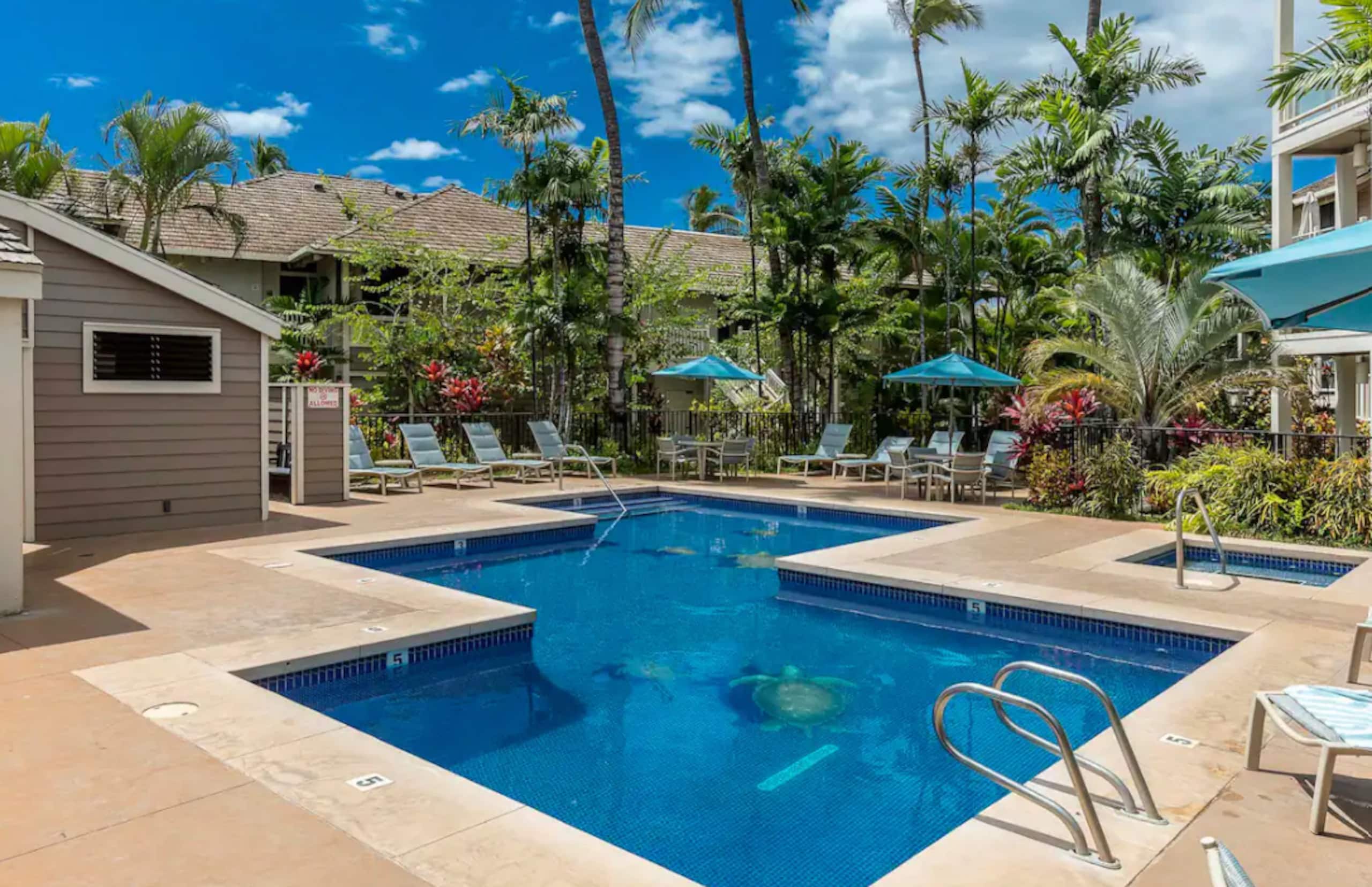 Condo in Wailea · ★4.98 · 1 bedroom · 1 bed · 2 baths - Image 42