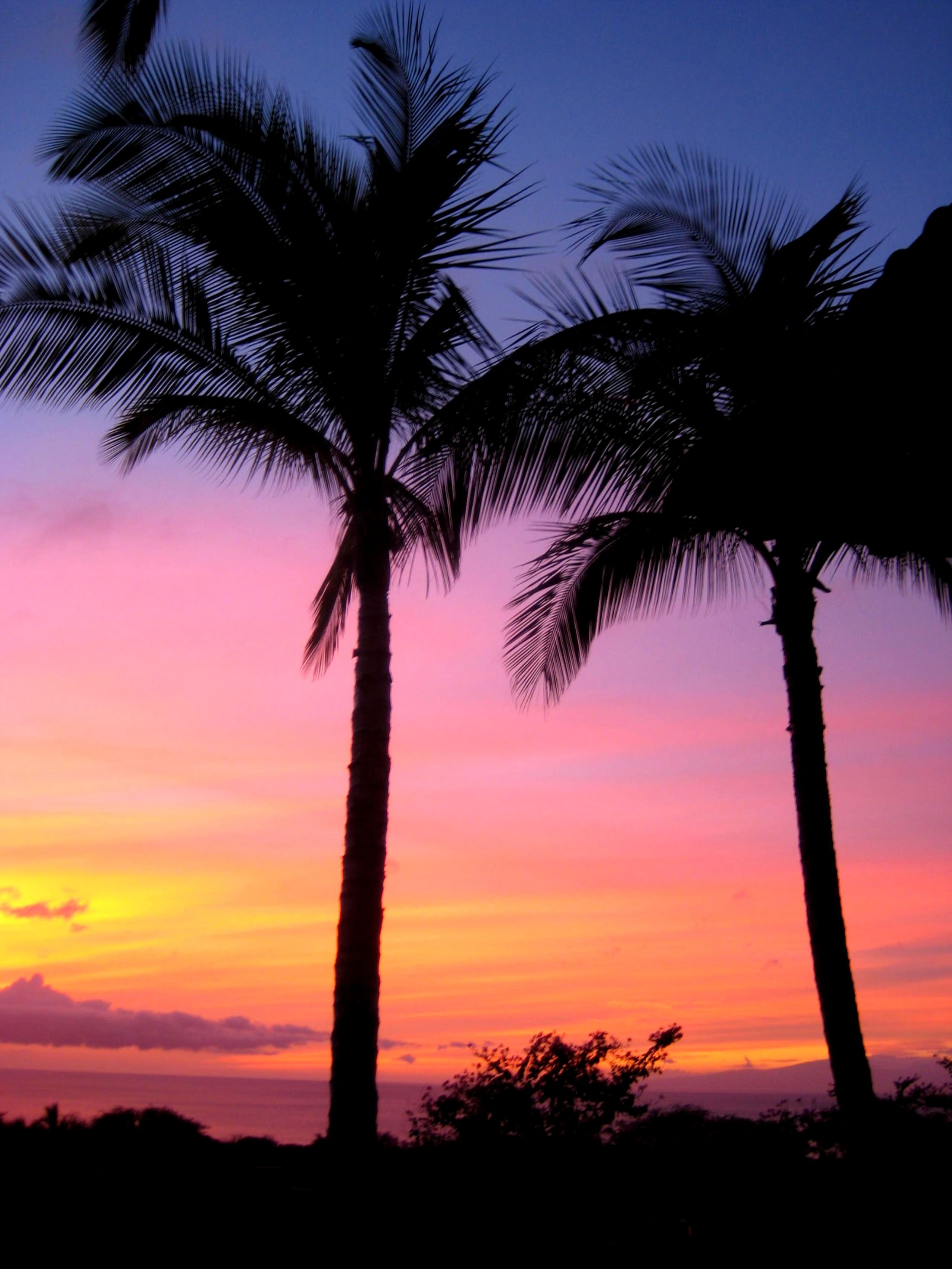 Condo in Wailea · ★4.98 · 1 bedroom · 1 bed · 2 baths - Image 30