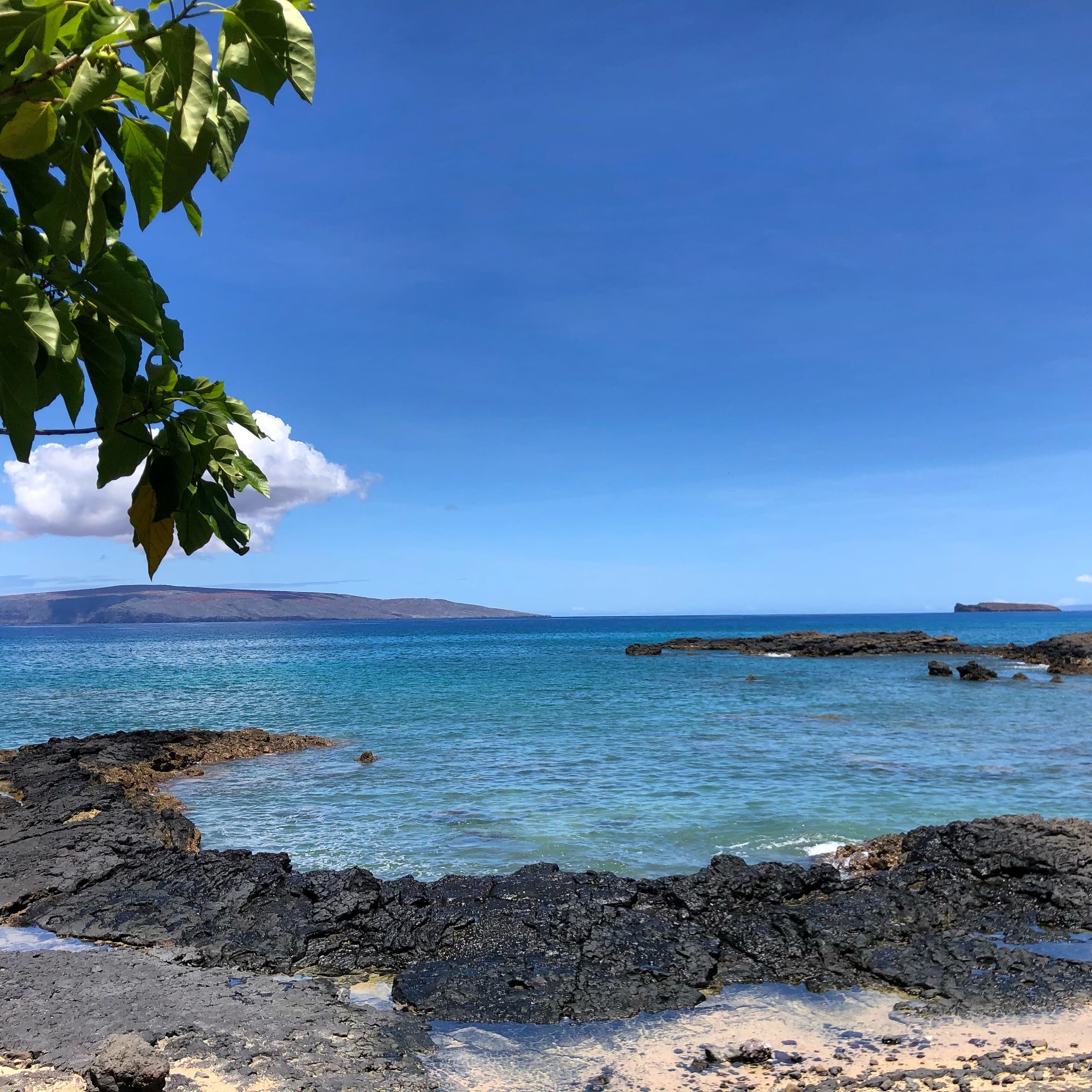 Condo in Wailea · ★4.98 · 1 bedroom · 1 bed · 2 baths - Image 29