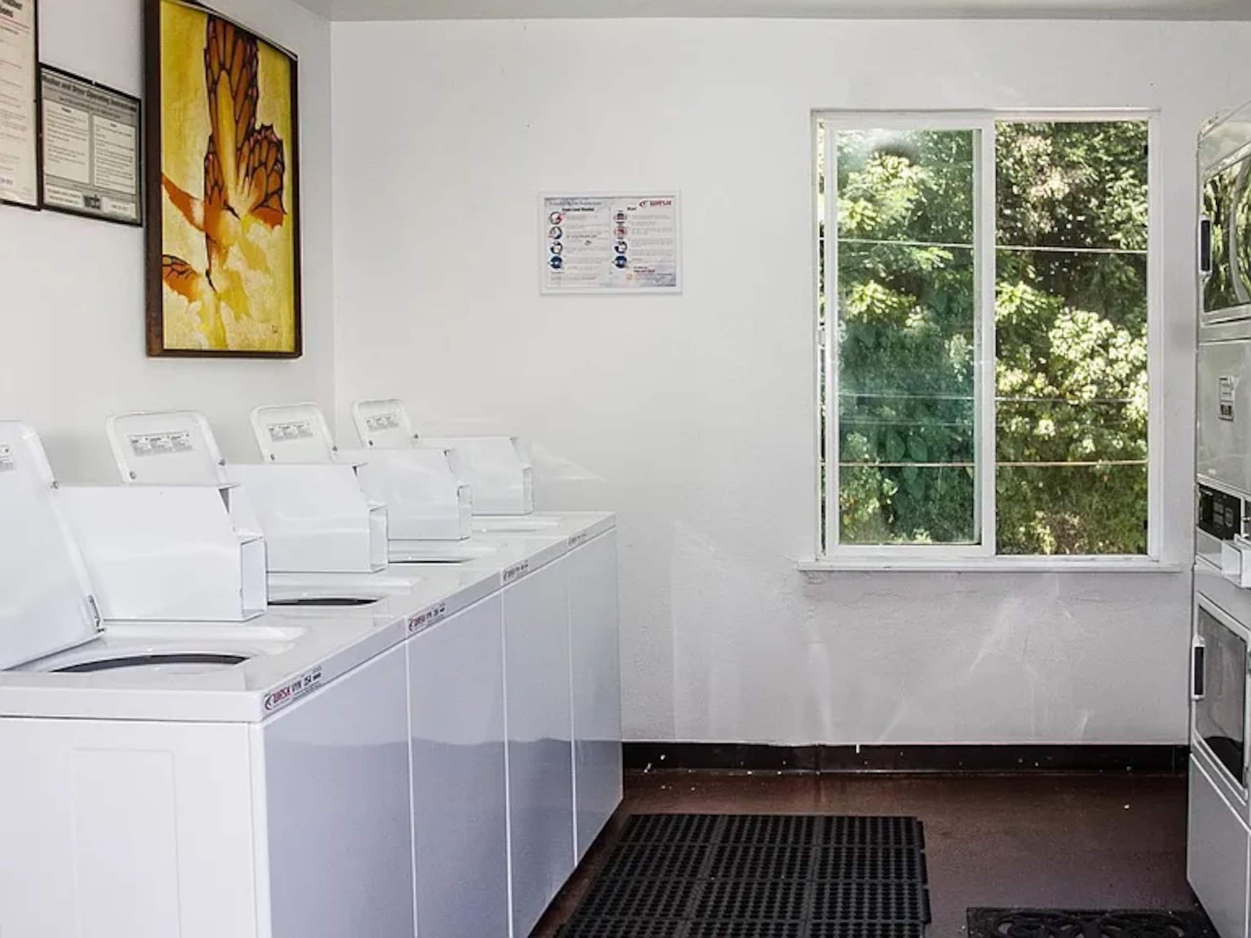 Condo in Hilo · ★4.66 · 2 bedrooms · 3 beds · 1.5 private baths - Image 4