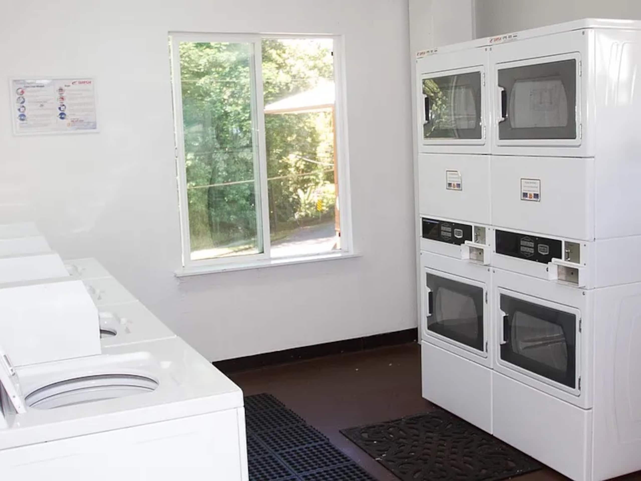 Condo in Hilo · ★4.66 · 2 bedrooms · 3 beds · 1.5 private baths - Image 5