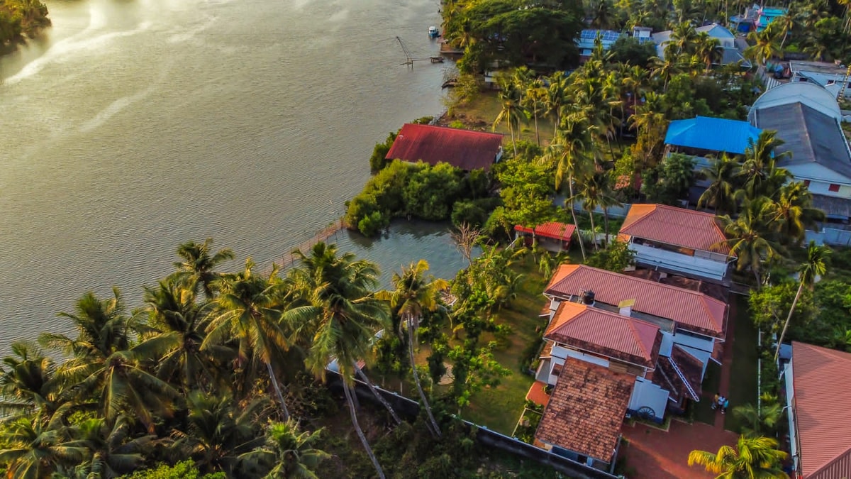 An aerial view showcases a collection of structures surrounded by lush greenery and coconut trees along a serene waterway. The vibrant roofs of the buildings contrast with the natural landscape, providing a glimpse of the tranquil atmosphere of the backwater property.