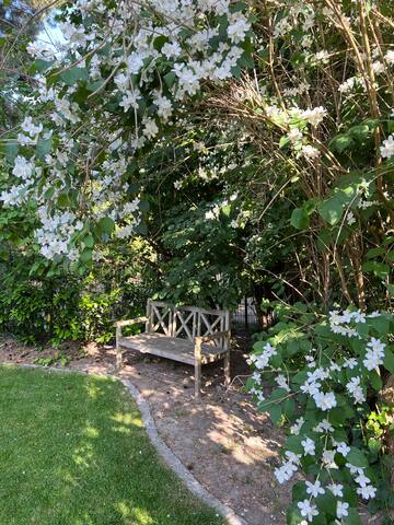 Clay’s Garden – Oase im Herzen Berlin’s gallery image 5