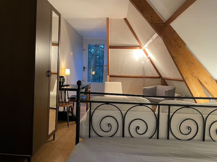 Над вашата спална соба, по реновирањето во 2023 година со пристап до балкон од 40 м2 со поглед кон шумата. Соба околу 18 м2. Кафе, чај и млака пена, просторно седење напред ако не сакате да седите на балконот или верандата долу. Кауч за 2 лица и 2 стола. 