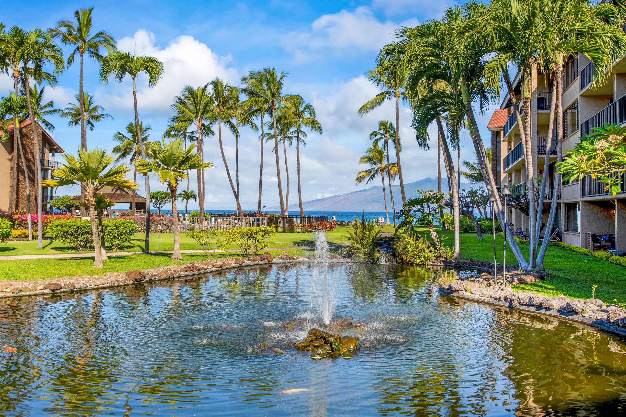 Townhouse in Lahaina · ★4.98 · Studio · 1 bed · 1 bath - Image 20