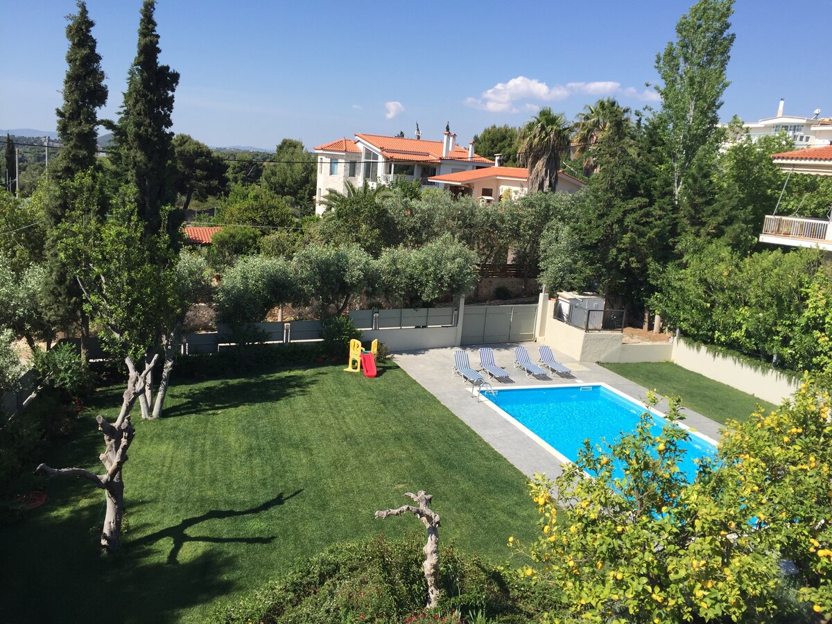 A tranquil backyard scene features a swimming pool surrounded by green grass and lounge chairs. A playground structure can be seen nearby, with tall trees providing shade and space for relaxation. The area is bordered by hedges, enhancing the secluded atmosphere.
