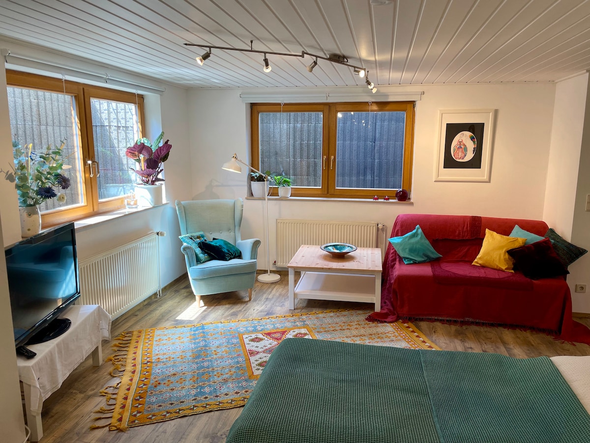 A cozy living area features large windows that allow natural light to illuminate the space. A light blue armchair and a red sofa offer comfortable seating options. A small coffee table sits in the center, accompanied by a colorful rug that enhances the inviting atmosphere.