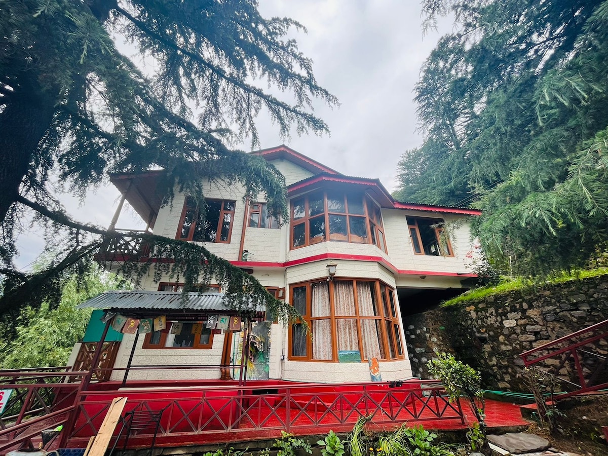 A charming multi-level house is framed by lush greenery, showcasing large windows that invite natural light. A balcony extends from the upper level, overlooking a well-kept garden. The stone wall adds a rustic touch to the exterior, while a wooden path leads to the entrance.