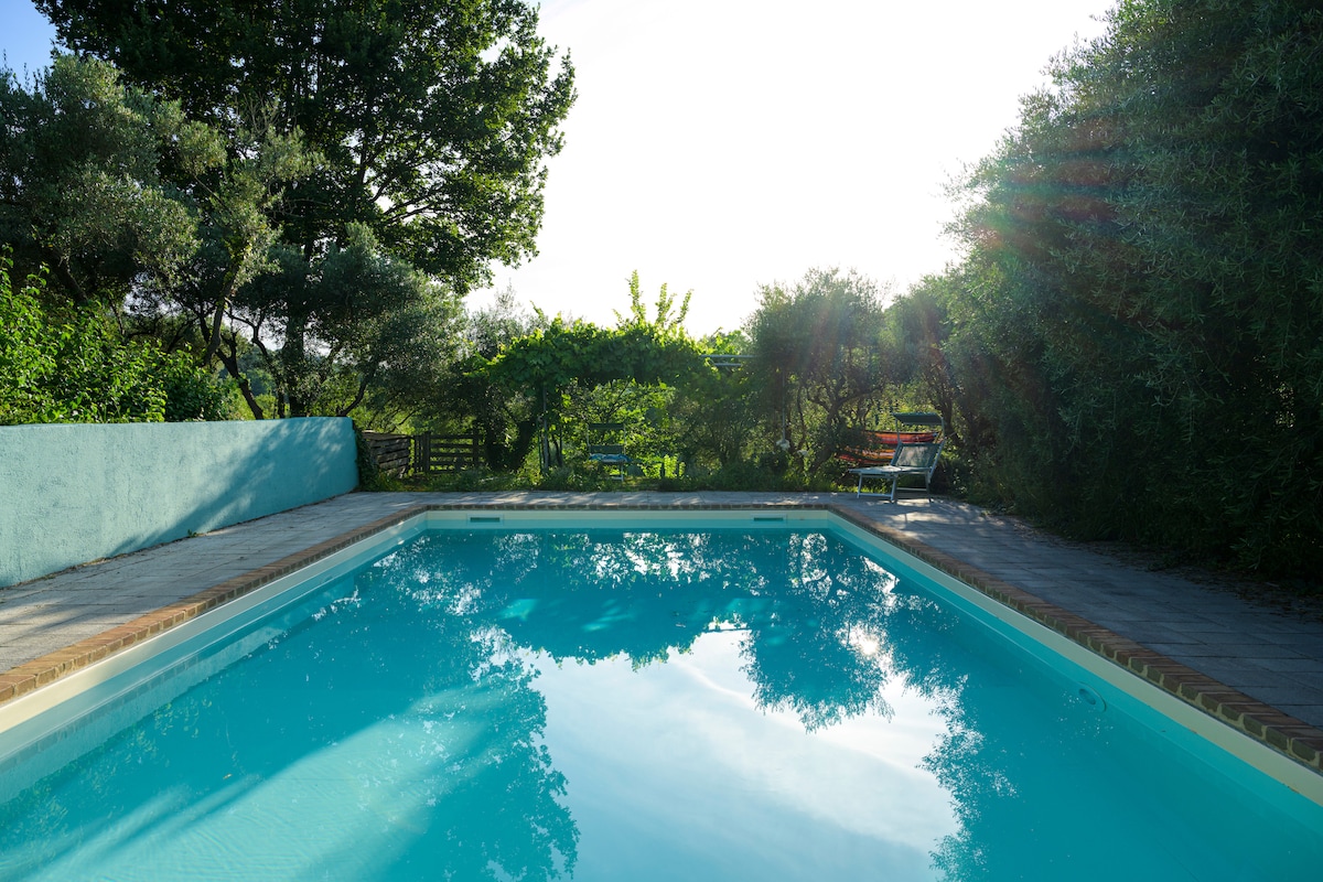 A large swimming pool is surrounded by lush greenery, reflecting the sunlight and trees above. Comfortable seating is visible behind the pool, offering a serene area for relaxation among the olive trees.