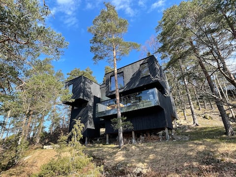Unique Architectural Cabin