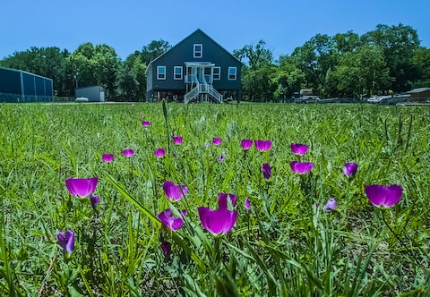 Riverside Retreat,Modern—Large Groups—Cinema—Dock…