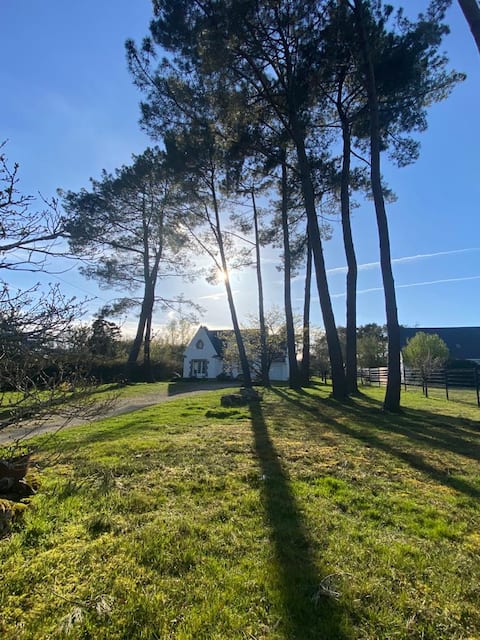 Large family home 20 minutes from the beaches