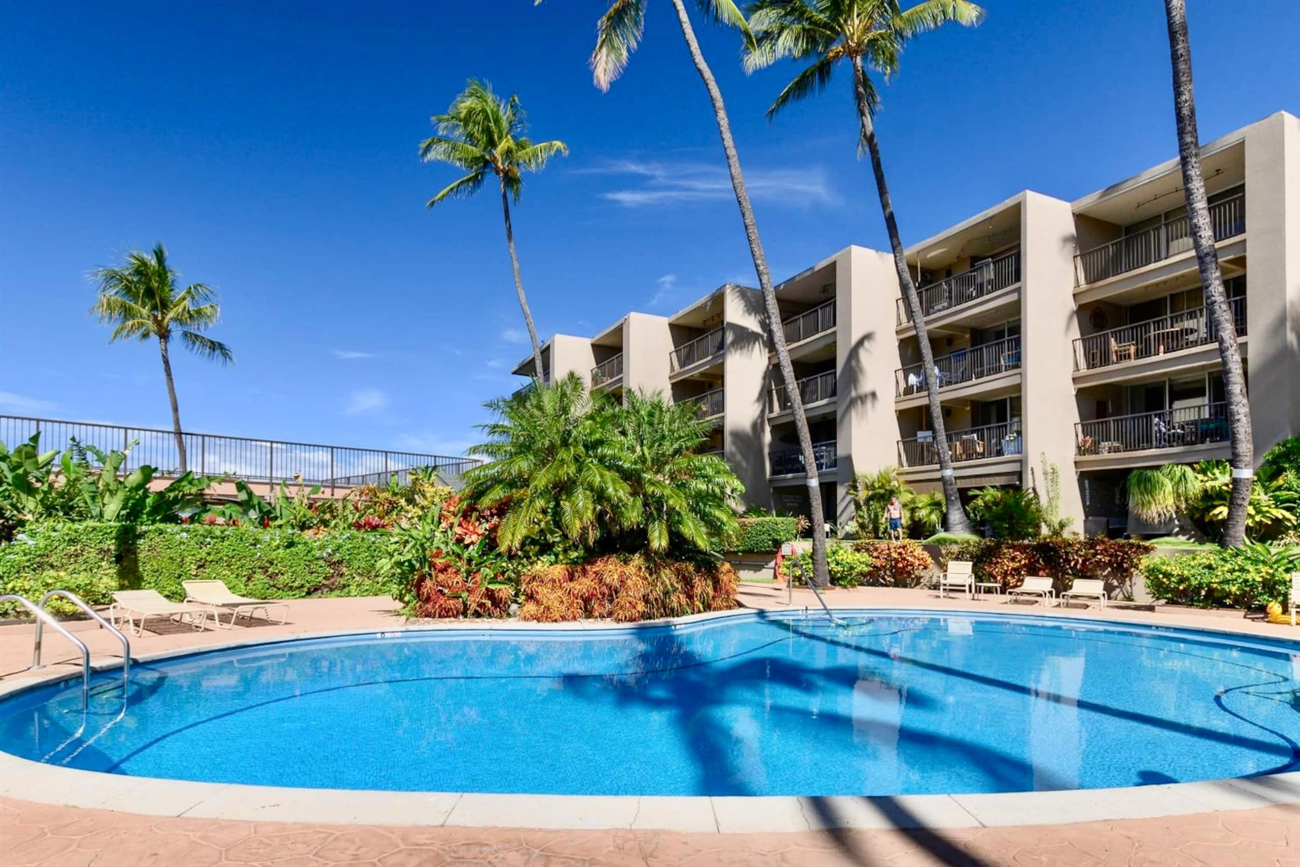 Condo in Napili-Honokowai · ★4.89 · 1 bedroom · 1 bed · 1 bath - Image 15