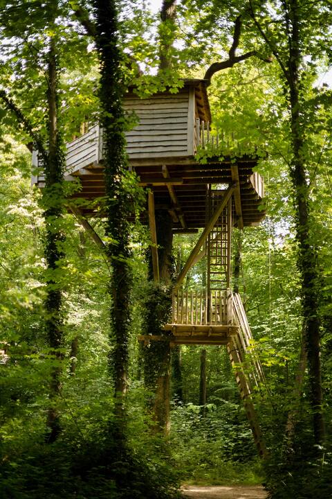 Cabane Escapade - Perchée
