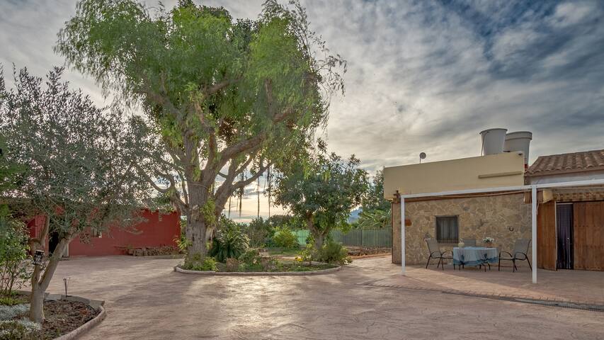 listing_image