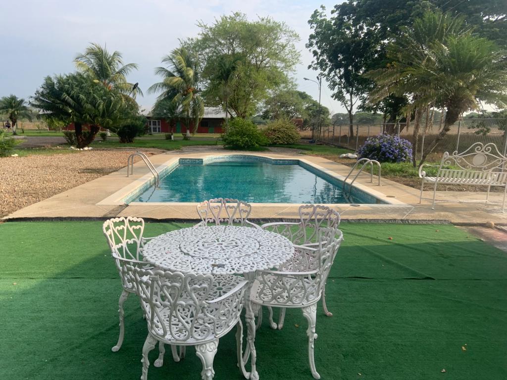 A swimming pool is surrounded by a green lawn, with white metal chairs and a circular table positioned nearby. Lush palm trees and flowering plants create a serene outdoor setting, while a gravel walkway leads towards the pool area.