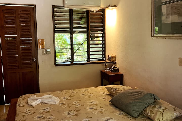 Habitación 6 
Jungle View