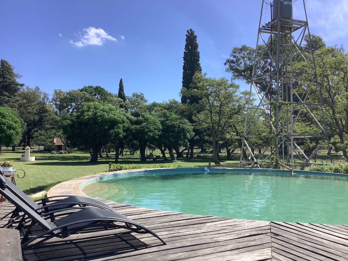 An outdoor pool is surrounded by a wooden deck and lounge chairs, set against a backdrop of lush green trees and a clear blue sky. The peaceful scenery offers a serene atmosphere for relaxation, complemented by expansive grassy areas.