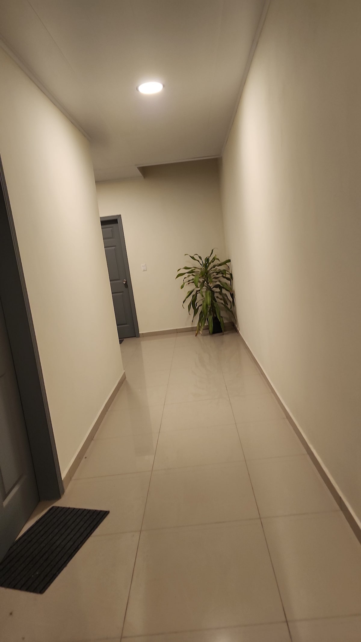A well-lit hallway features smooth, glossy tiles and a neutral-toned wall. A single potted plant adds a touch of greenery, while a closed door is visible at the end of the corridor. The space is airy and uncluttered, promoting a sense of calm.