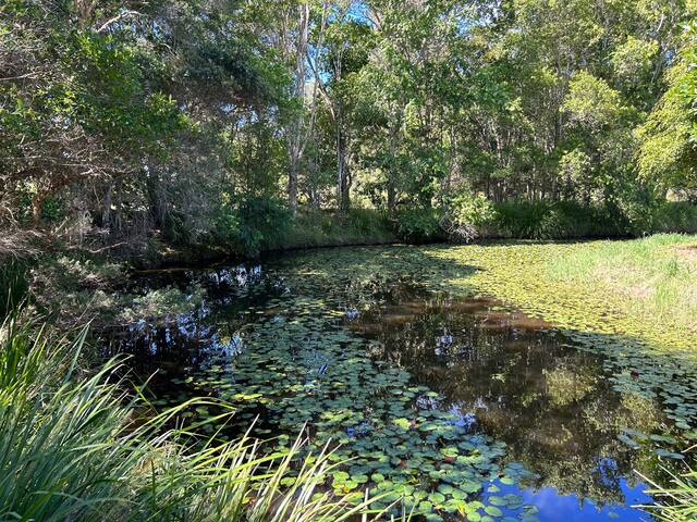 Myocum Magic gallery image 5