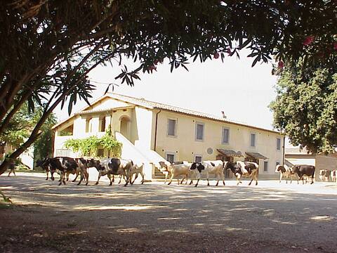 Fattoria BioBagnolese e Casa Vacanze