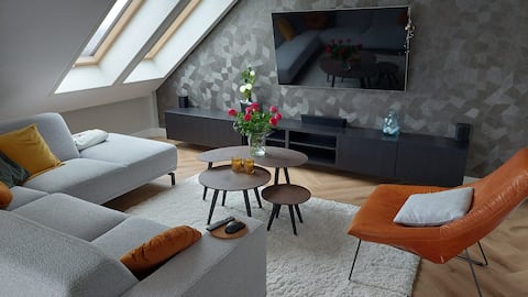 Top location in Tilburg Centrum, luxury room rental