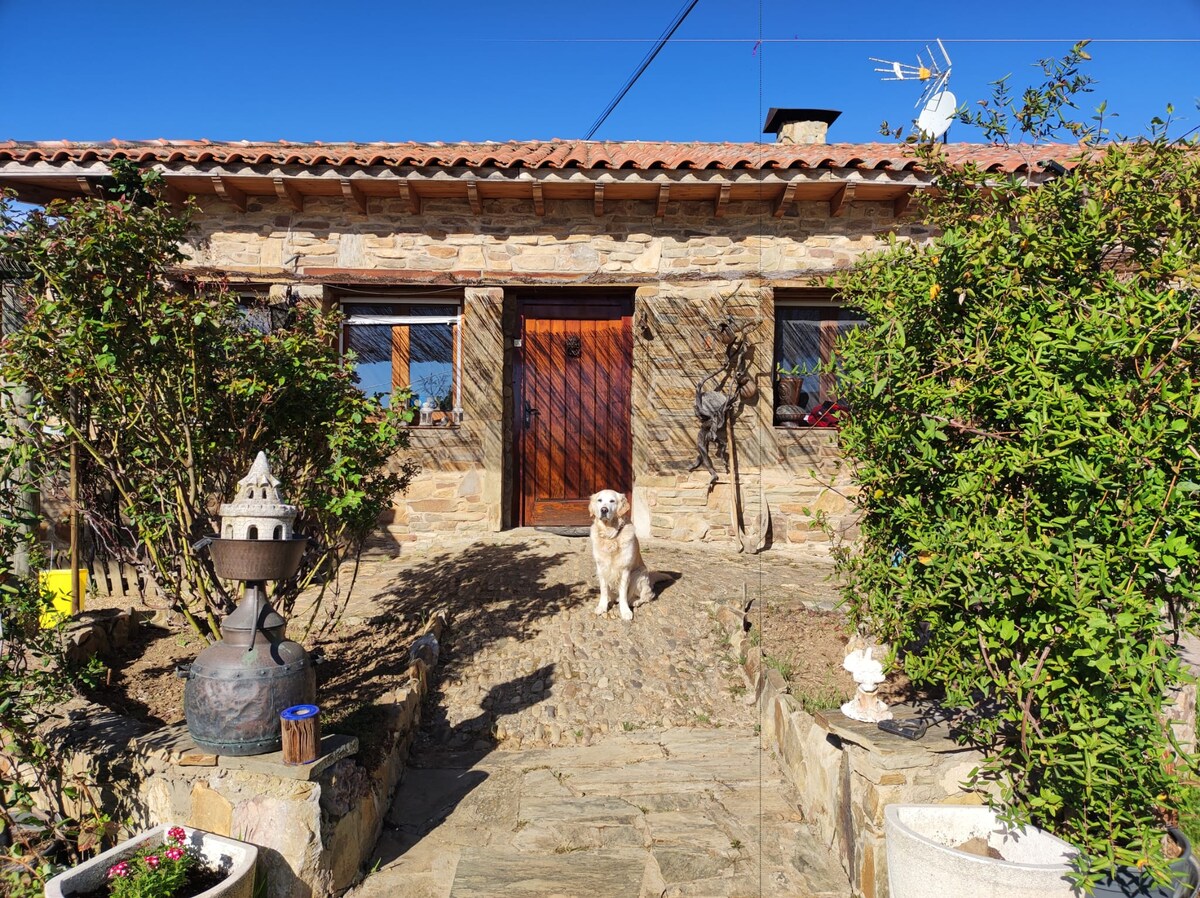A stone cottage with a warm wooden door is framed by lush greenery and flowering plants. A friendly dog sits in the foreground, adding a welcoming touch to the inviting entrance. The path leading up to the door is lined with natural stone, enhancing the cottage's rustic charm.