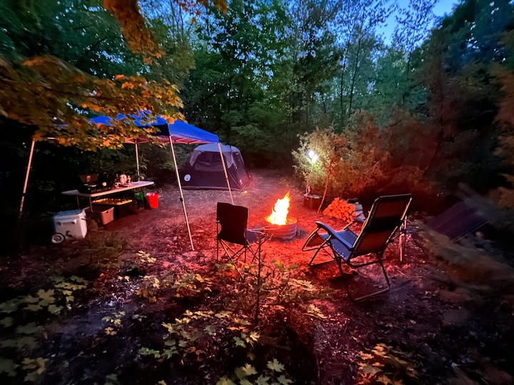 Wooded Frankfort tent site Campsites for Rent in Frankfort, Michigan