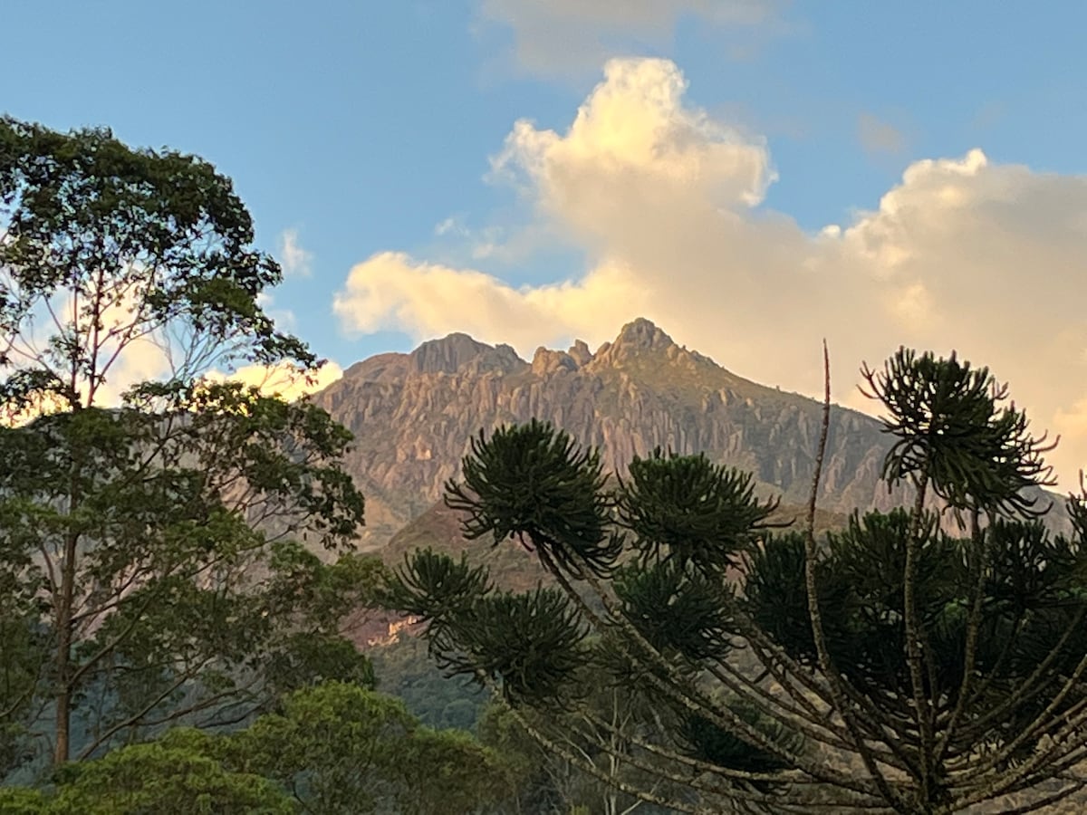 A mountain peak is visible in the distance, surrounded by lush greenery and trees. The sky is marked with soft clouds, creating a serene backdrop. Various trees with distinctive foliage frame the scene, adding to the natural beauty of the outdoor environment.