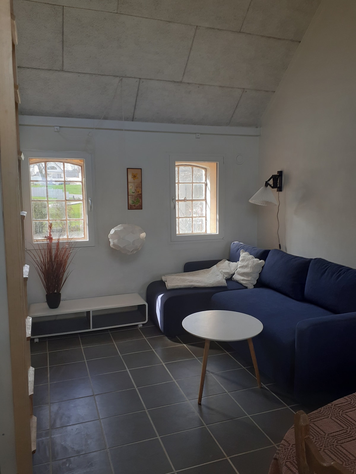 A cozy lounge area is presented with a blue sofa against a light-colored wall. Two windows allow natural light to fill the space, while a small round table and a decorative plant add to the inviting feel of the room.