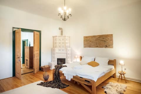 Charming Room in Saxon House, AniGuesthouse Richis