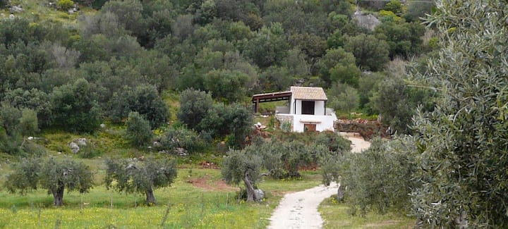 Casa Panorama - San Vito Lo Capo