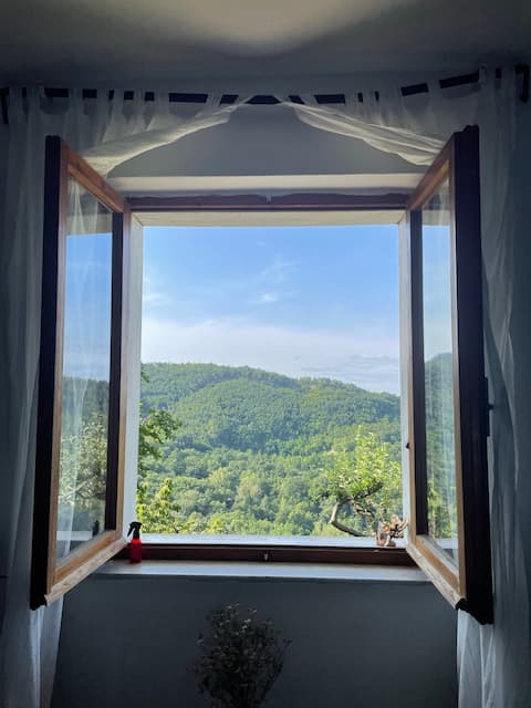 Detached house with olive grove.