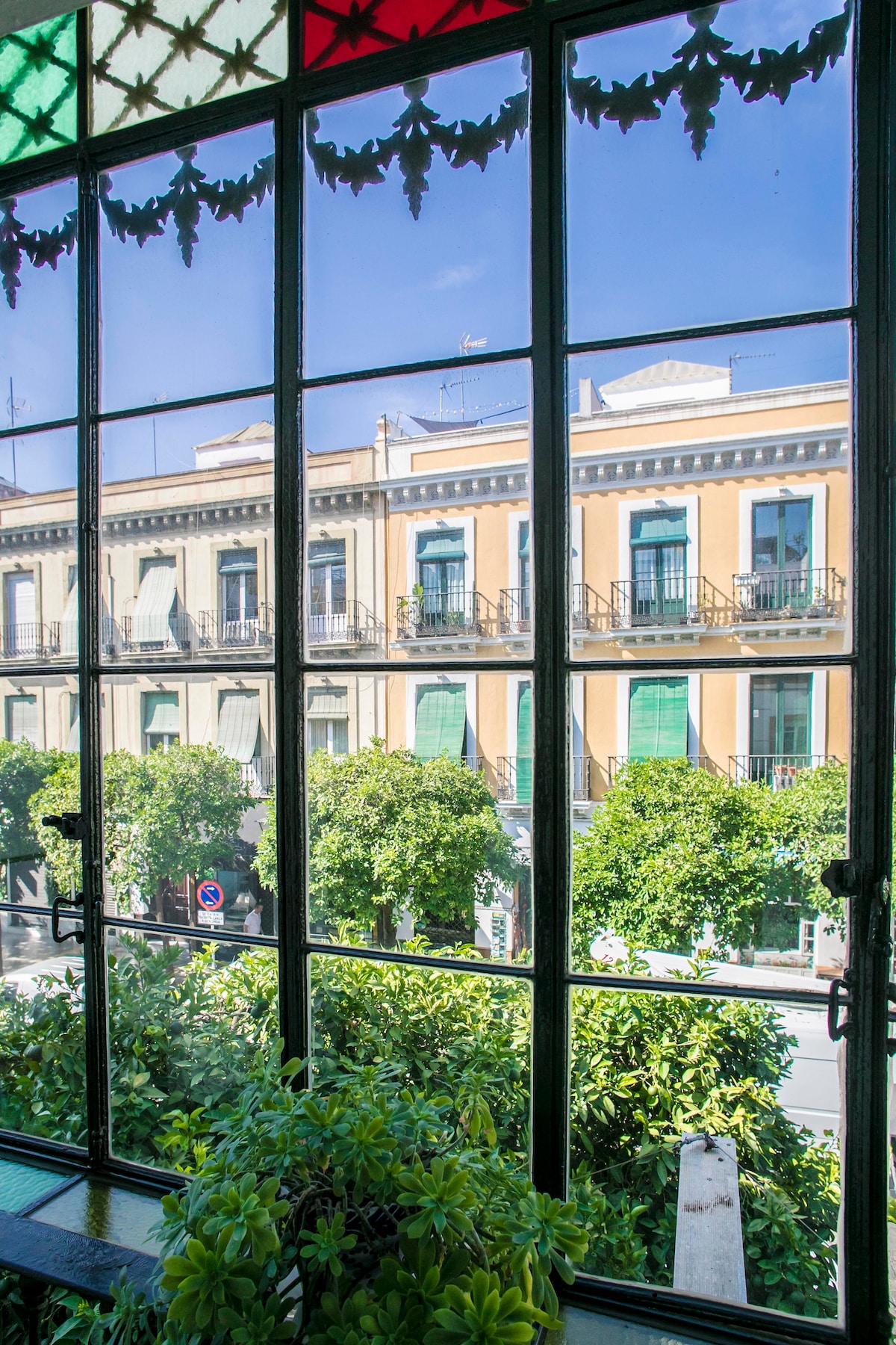 Large windows framed in ornate ironwork reveal a view of a vibrant street lined with greenery and historic buildings. Bright, sunlit façades feature decorative balconies, while sunlight filters through plants placed in the window, adding a touch of nature to the scene.