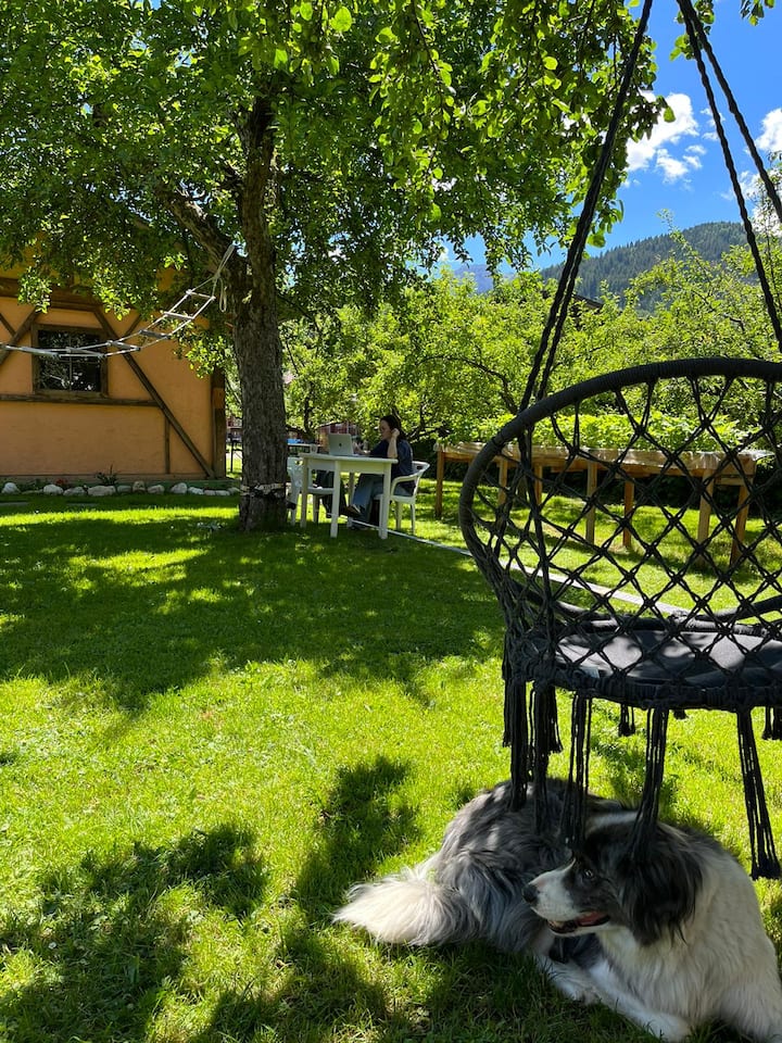 Dolomiti House Frassen - Fiera di Primiero