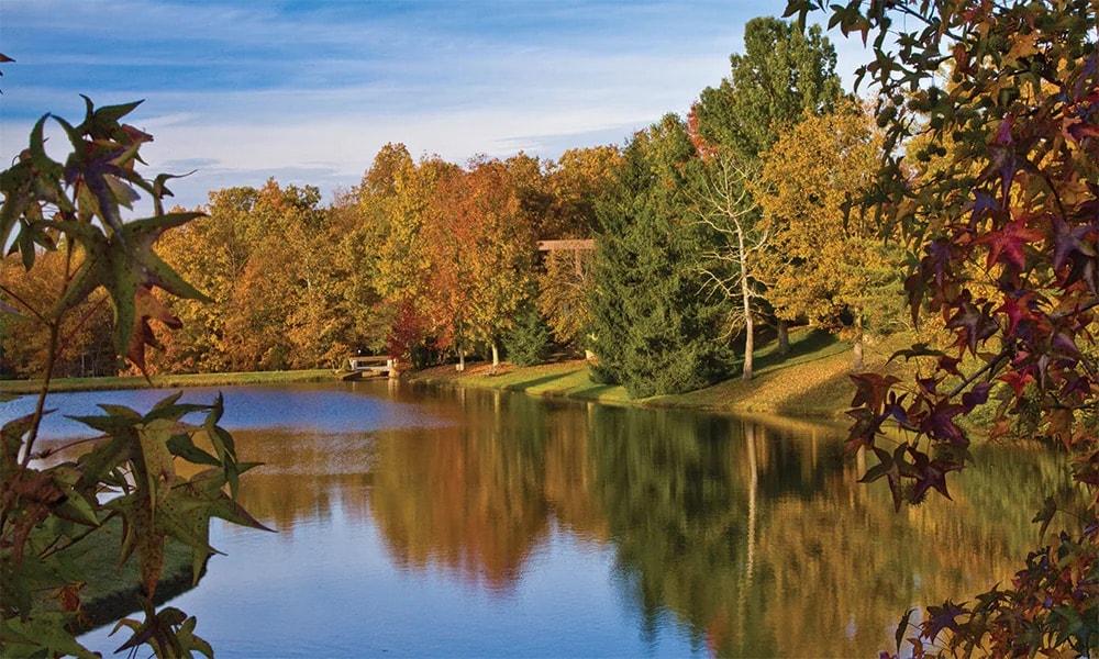 A tranquil lake is framed by trees exhibiting autumn colors, reflecting vibrant hues on the water's surface. A wooden dock is visible along the shoreline, complementing the natural surroundings.