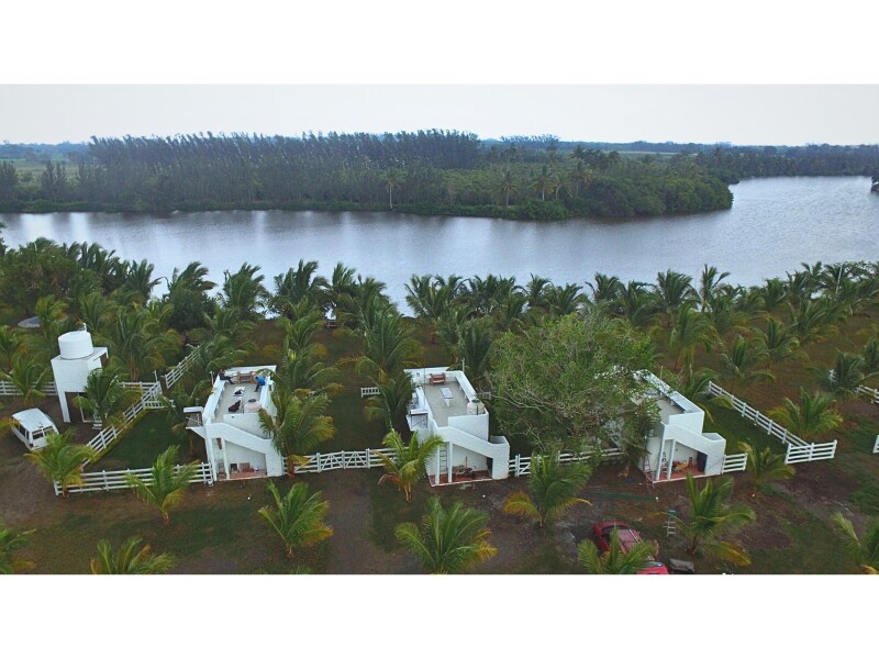 An aerial view reveals a serene landscape featuring several white structures surrounded by lush green palm trees. A calm body of water reflects the natural scenery, offering a picturesque setting that emphasizes the space’s connection to nature.