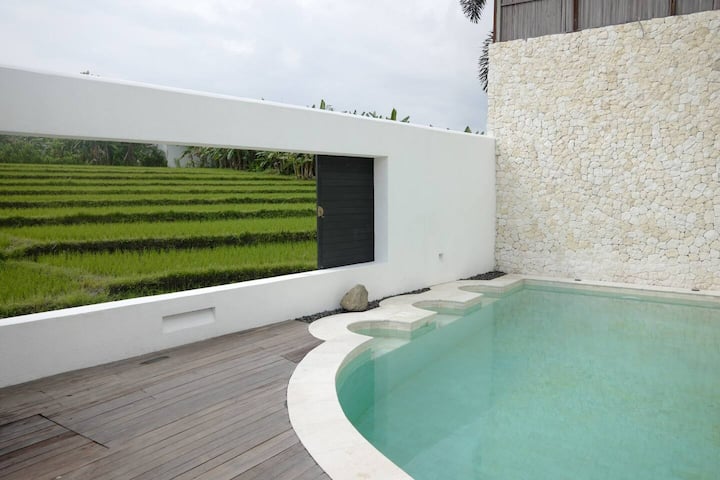 Designer Home With Rice Field View In Canggu - Bali